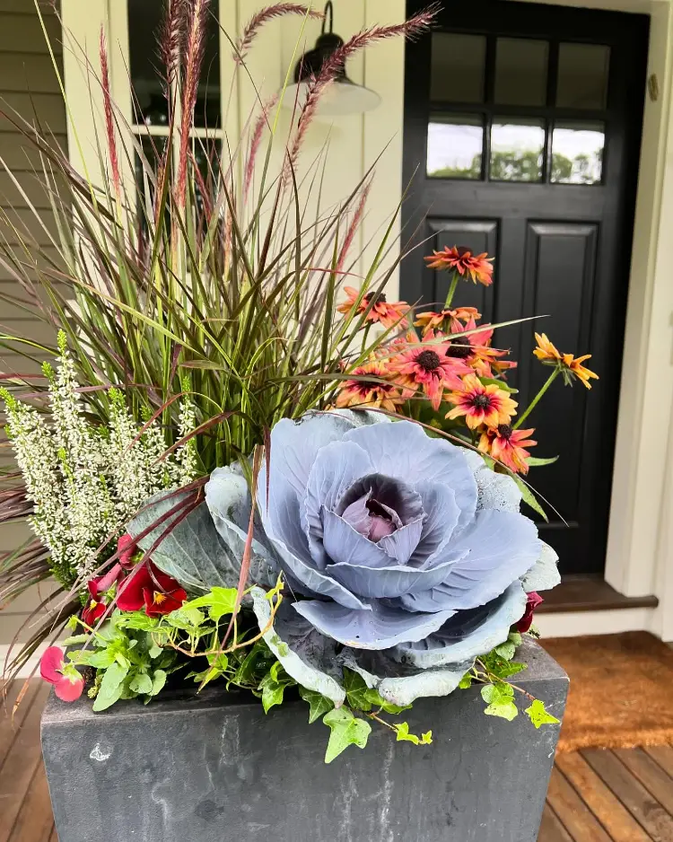 Fall porch planter arrangement featuring a large lavender ornamental cabbage, orange coneflowers, red pansies, white astilbe, and purple fountain grass in a dark stone planter beside a black front door.