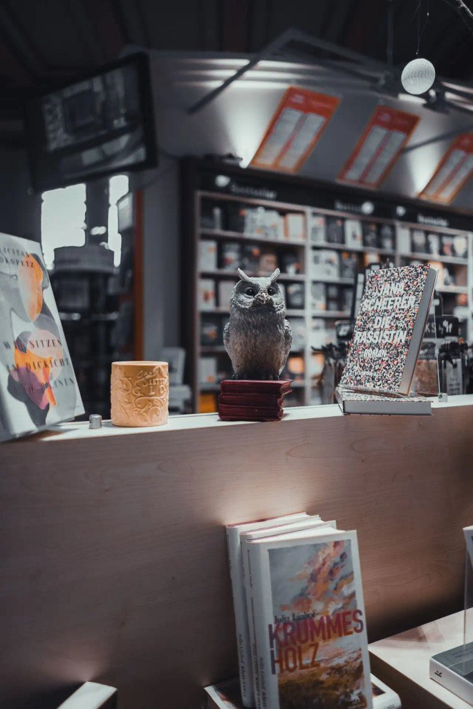 A decorative owl figurine perched on miniature book pedestals surrounded by featured novels