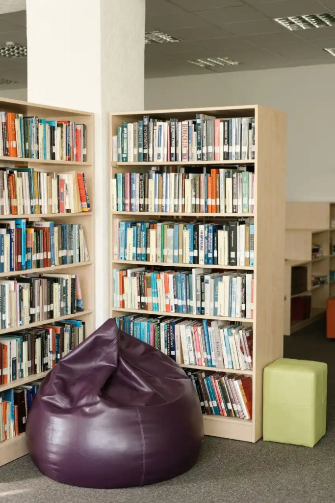A cozy reading corner in a library featuring light-wood bookshelves filled with books